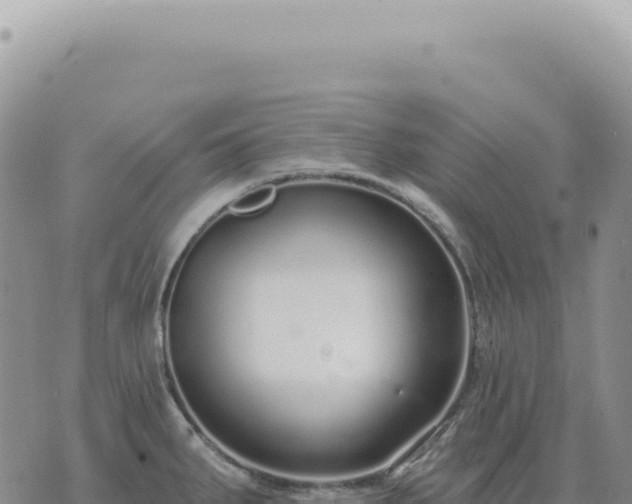 X0000073711287200608101829