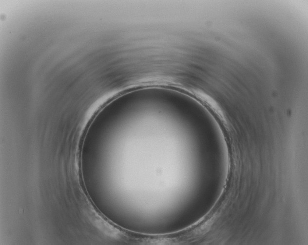 X0000073711288200608101829