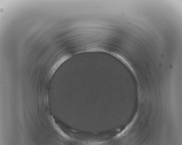 X0000073711289200608101829