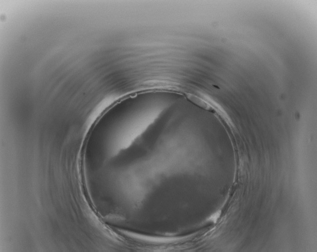 X0000073711291200608101829