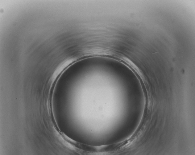 X0000073711293200608101829