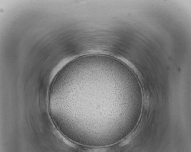 X0000073711294200608101829