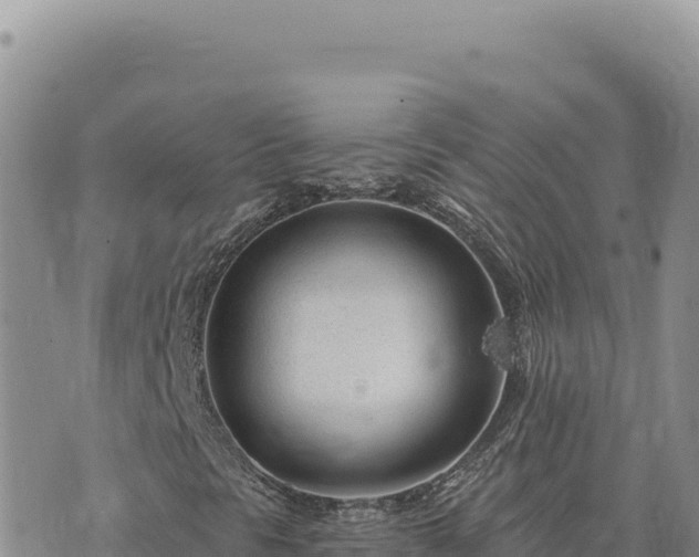 X0000073711297200608101828