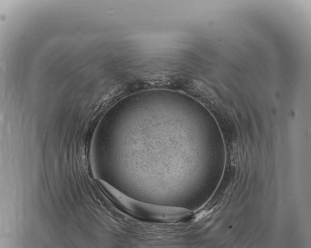 X0000073711298200608101828