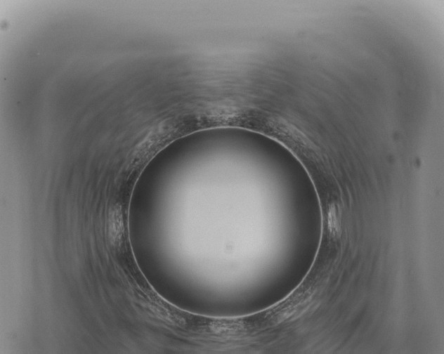 X0000073711299200608101828