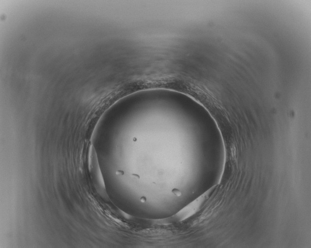 X0000073711300200608101828