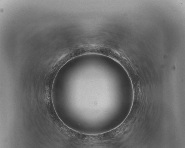 X0000073711301200608101828