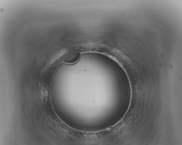 X0000073711302200608101828