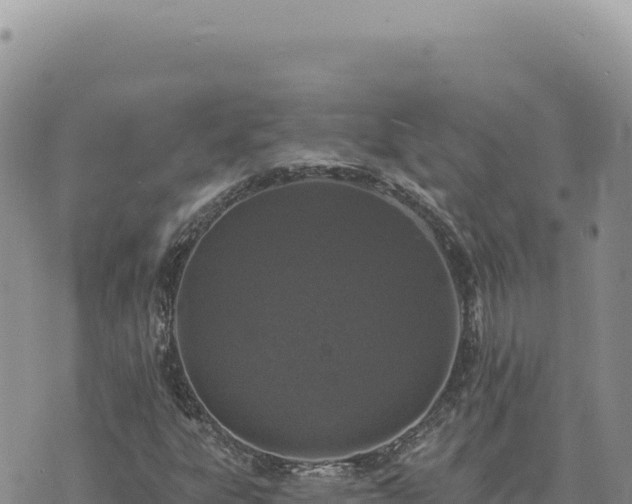 X0000073711303200608101828