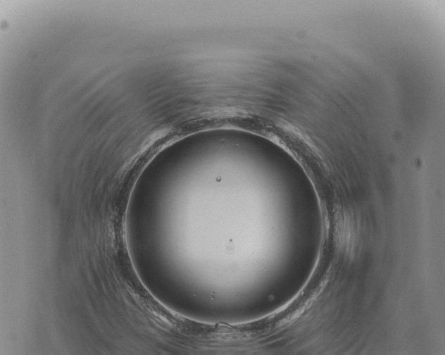 X0000073711305200608101829