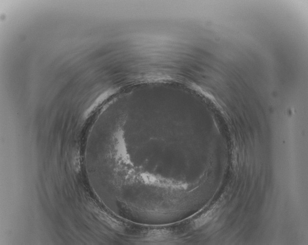 X0000073711306200608101829