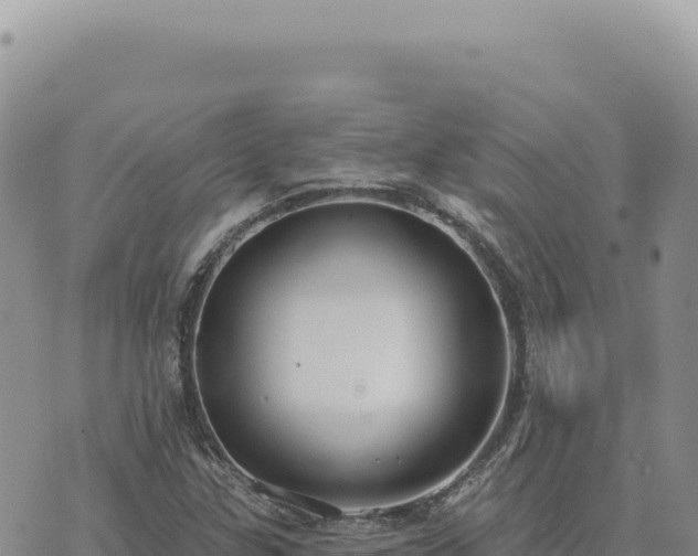 X0000073711307200608101829