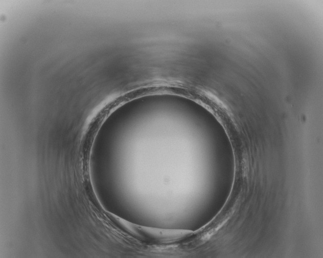 X0000073711310200608101829