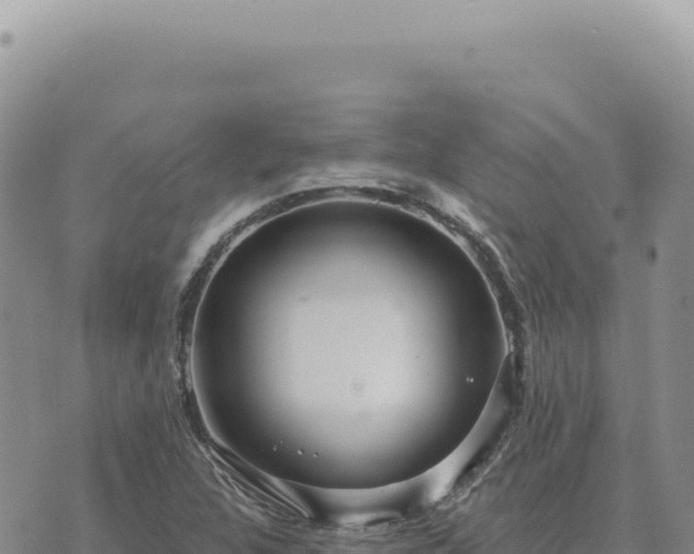 X0000073711312200608101829