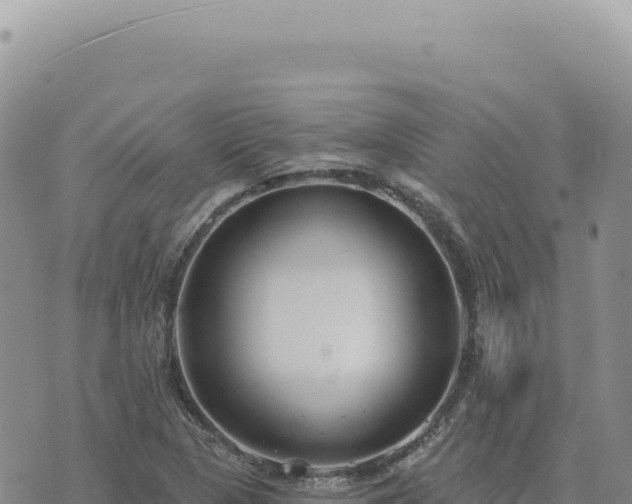 X0000073711313200608101829