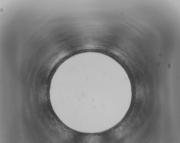 X0000073711314200608101829