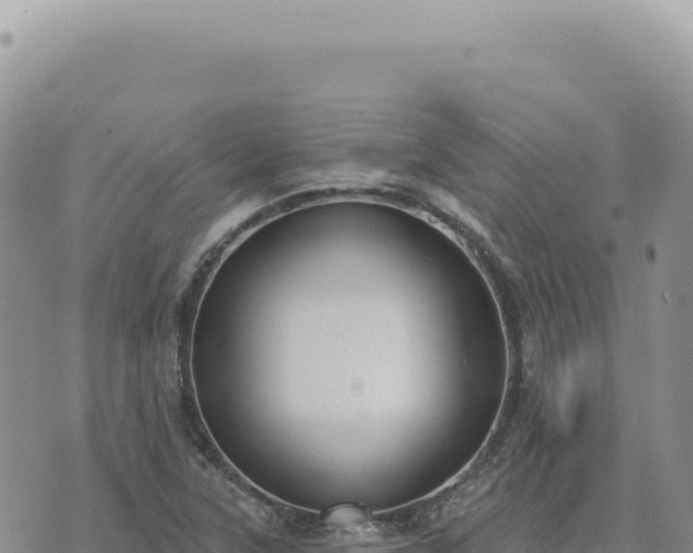 X0000073711315200608101829