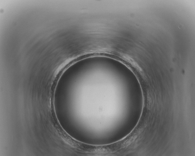 X0000073711316200608101829