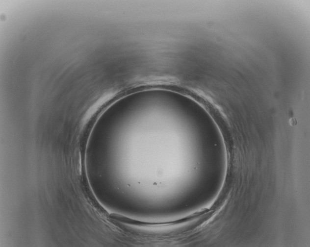 X0000073711317200608101829