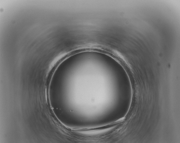 X0000073711320200608101829