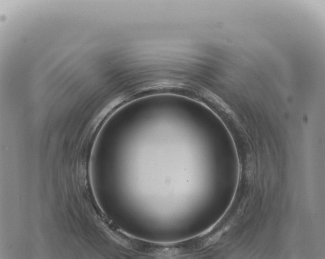 X0000073711321200608101829