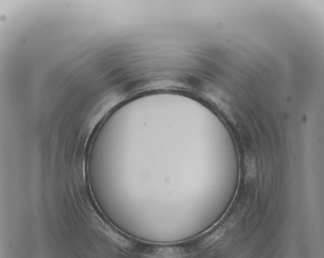 X0000073711322200608101829