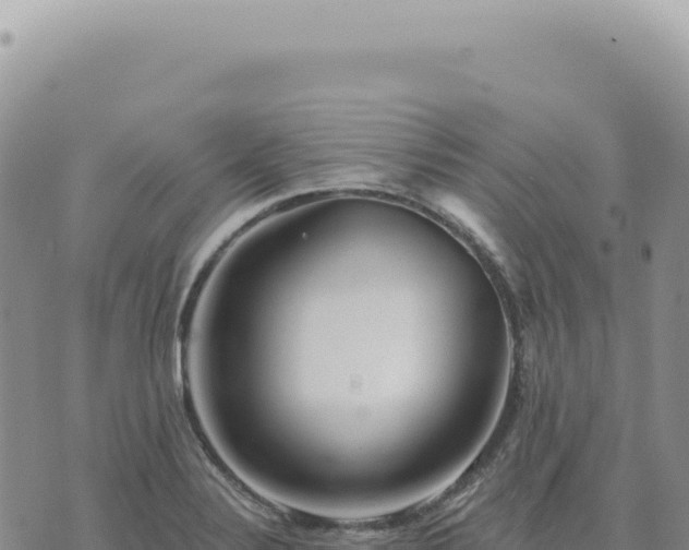 X0000073711324200608101829