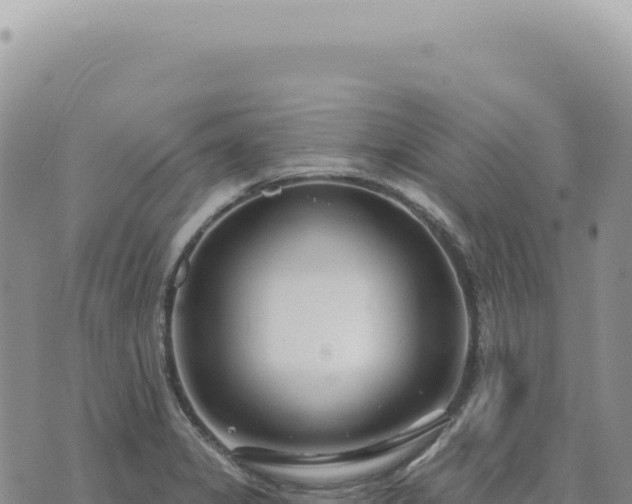 X0000073711325200608101829