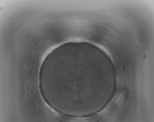 X0000073711327200608101829