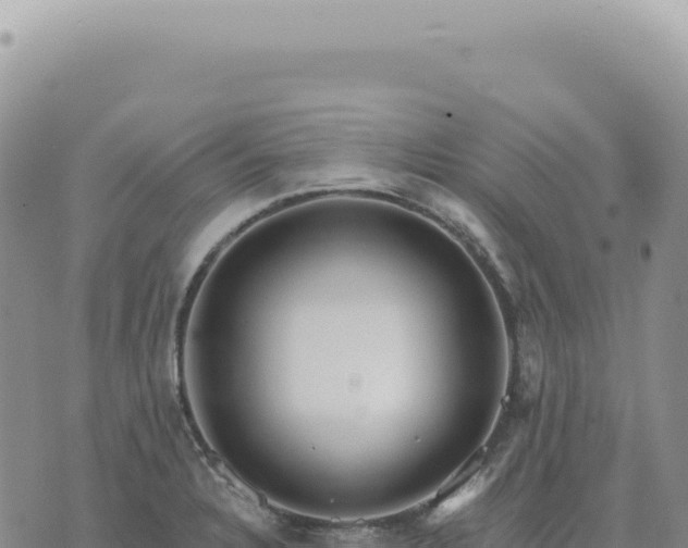 X0000073711328200608101829