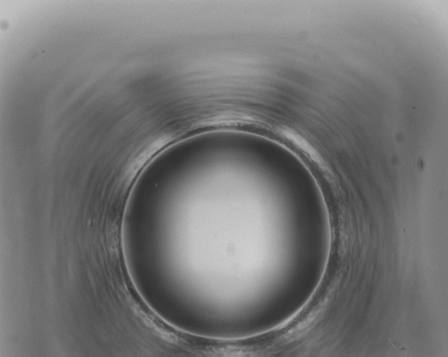 X0000073711329200608101829