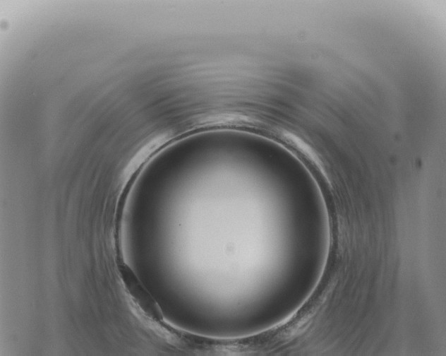 X0000073711330200608101829