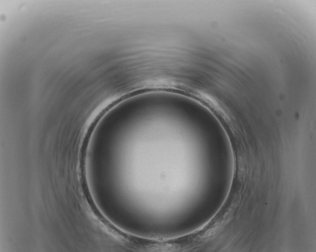 X0000073711331200608101829