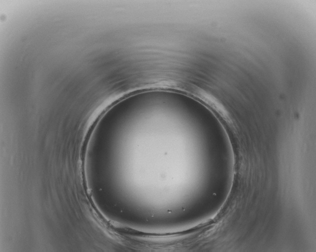 X0000073711332200608101829