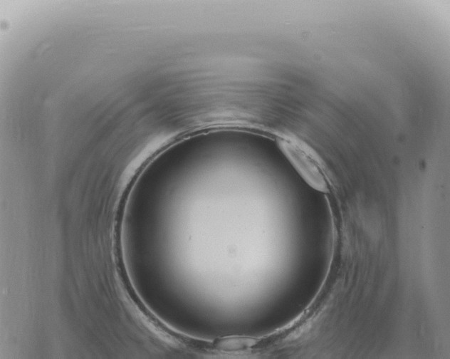 X0000073711333200608101829