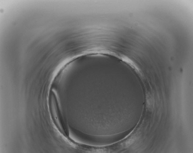 X0000073711334200608101829