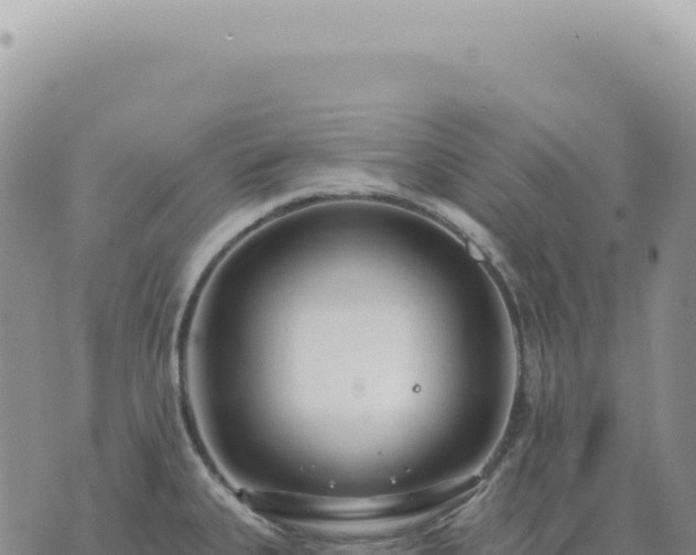 X0000073711335200608101829