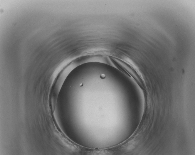 X0000073711336200608101829