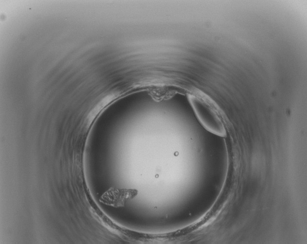 X0000073711337200608101829