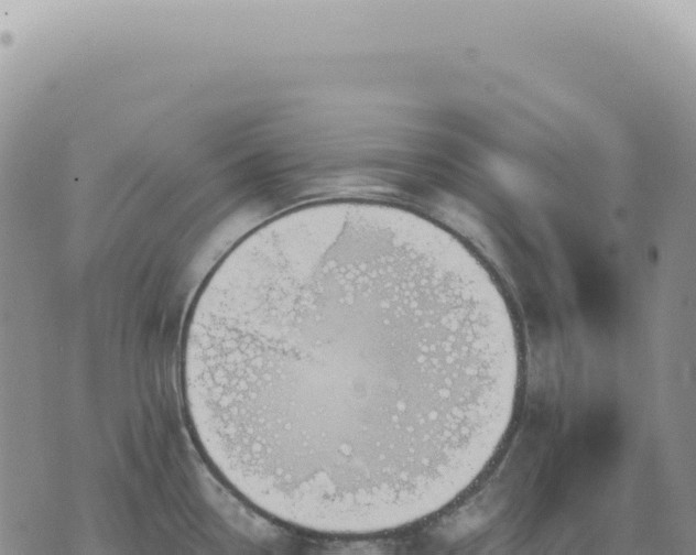 X0000073711338200608101829