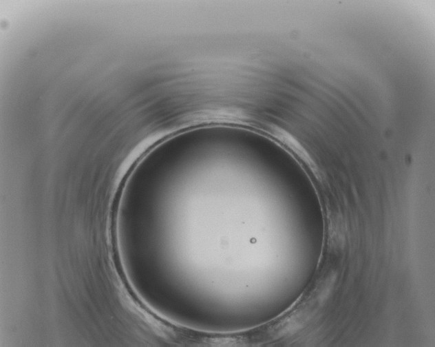 X0000073711339200608101829