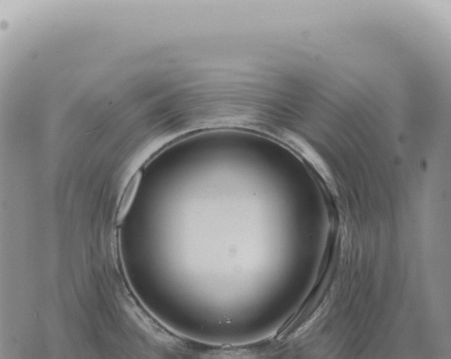 X0000073711340200608101829