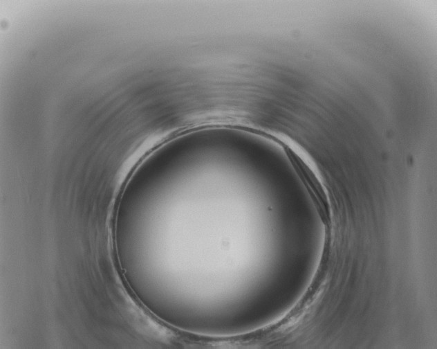 X0000073711341200608101829