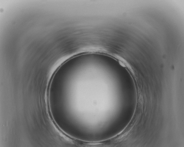 X0000073711343200608101829