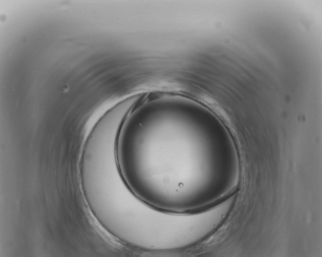 X0000073711344200608101829