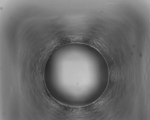 X0000073711345200608101828