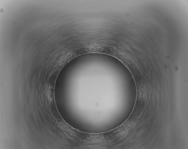 X0000073711346200608101828