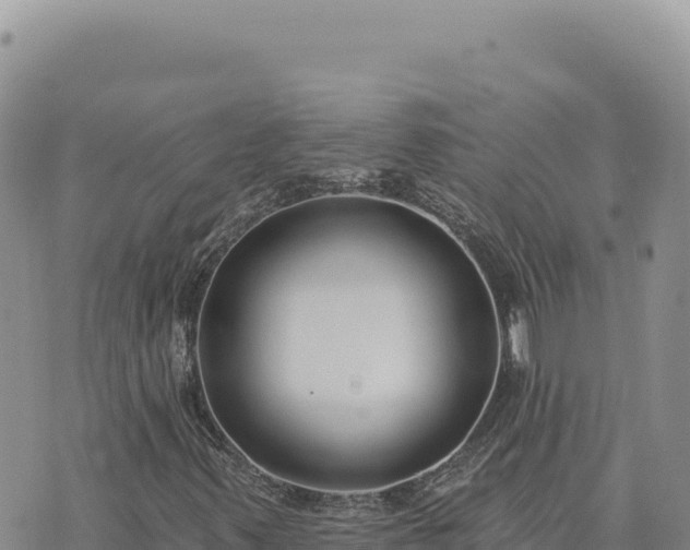 X0000073711347200608101828