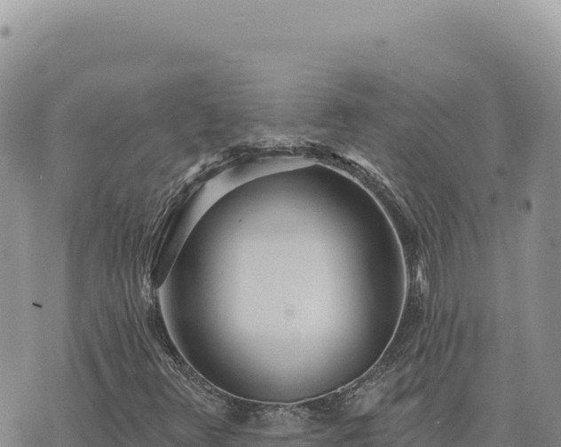 X0000073711348200608101828