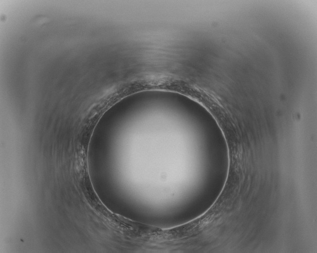 X0000073711349200608101828